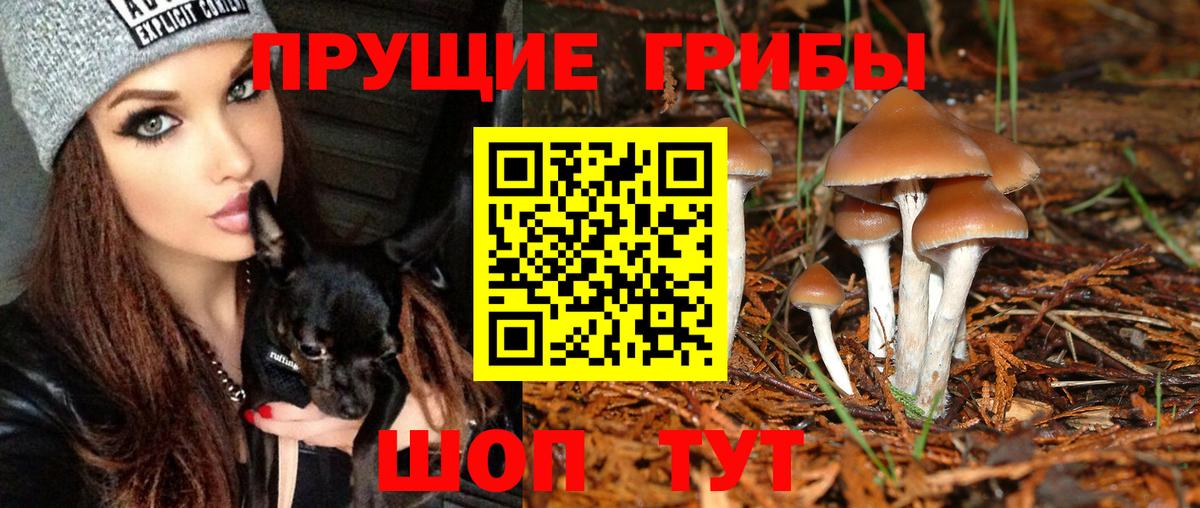 Унеча  Галлюциногенные грибы ЛСД  купить   Вход с VPN 
