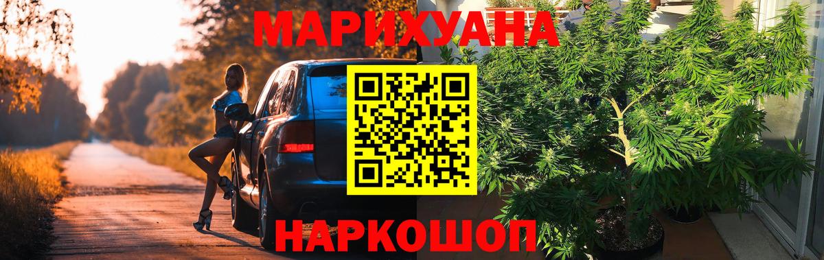 Бошки Шишки семена  Бошки марихуана OG Kush  Унеча  Бошки марихуана марихуана 